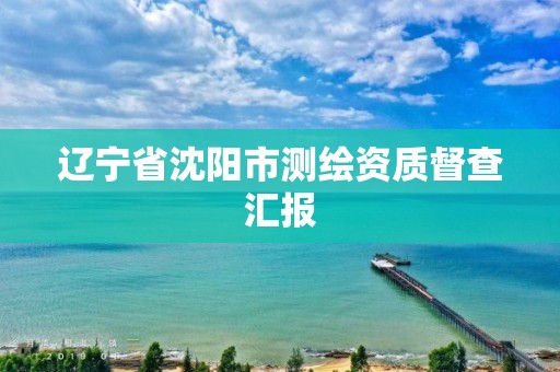 辽宁省沈阳市测绘资质督查汇报