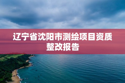 辽宁省沈阳市测绘项目资质整改报告