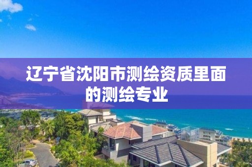 辽宁省沈阳市测绘资质里面的测绘专业