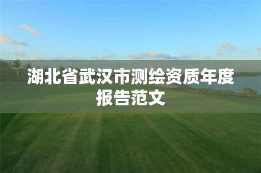 湖北省武汉市测绘资质年度报告范文