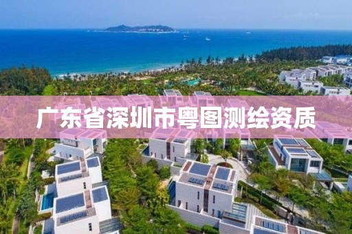 广东省深圳市粤图测绘资质