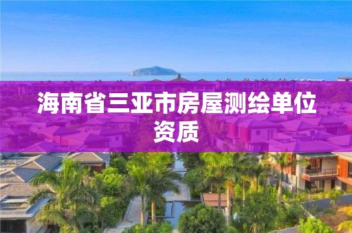 海南省三亚市房屋测绘单位资质