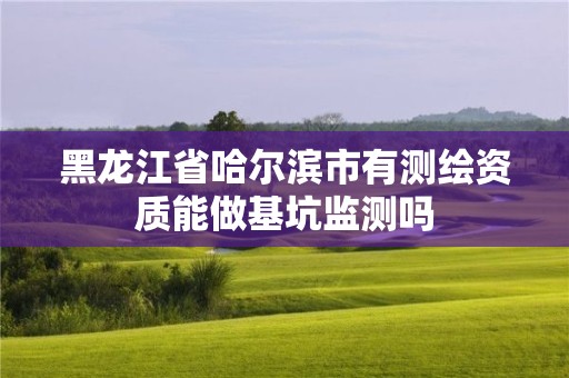 黑龙江省哈尔滨市有测绘资质能做基坑监测吗