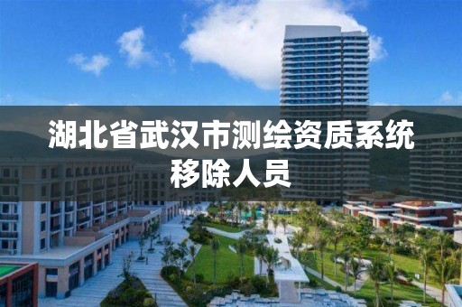 湖北省武汉市测绘资质系统移除人员