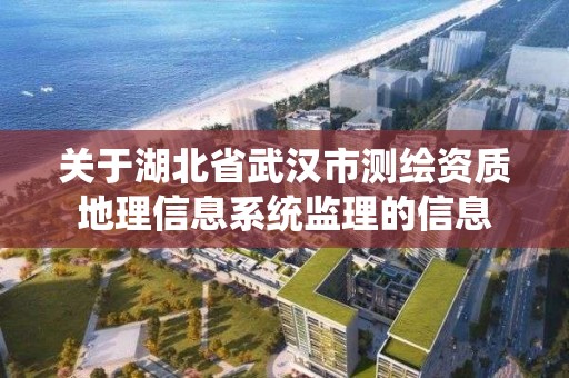 关于湖北省武汉市测绘资质地理信息系统监理的信息