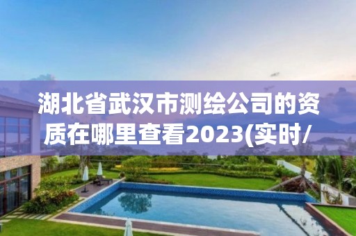 湖北省武汉市测绘公司的资质在哪里查看2023(实时/更新中)