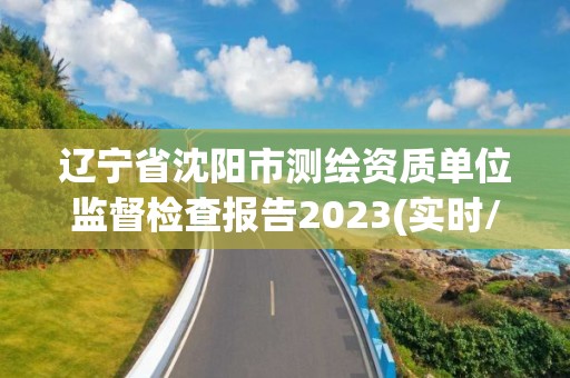 辽宁省沈阳市测绘资质单位监督检查报告2023(实时/更新中)