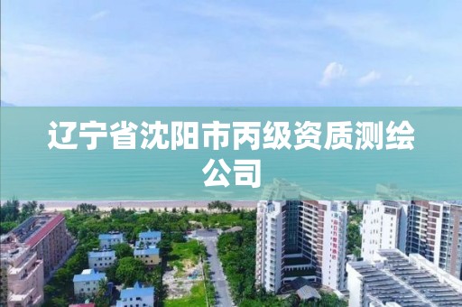 辽宁省沈阳市丙级资质测绘公司