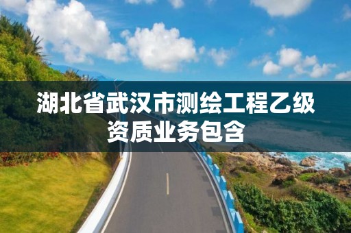 湖北省武汉市测绘工程乙级资质业务包含