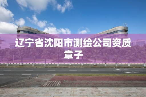 辽宁省沈阳市测绘公司资质章子