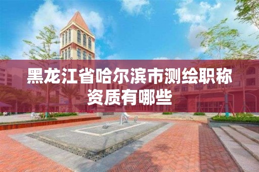 黑龙江省哈尔滨市测绘职称资质有哪些