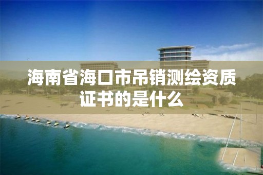 海南省海口市吊销测绘资质证书的是什么