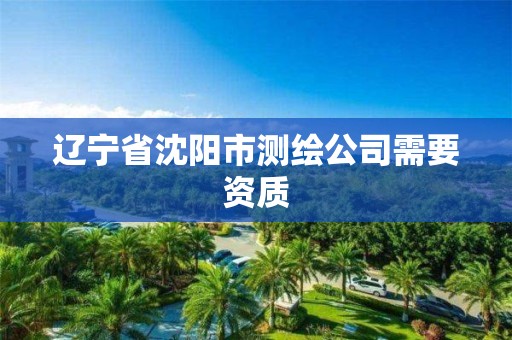 辽宁省沈阳市测绘公司需要资质