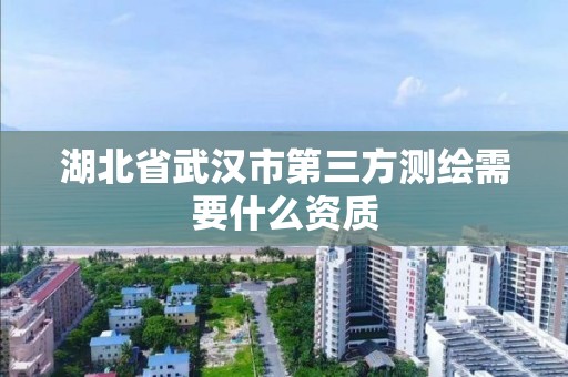 湖北省武汉市第三方测绘需要什么资质