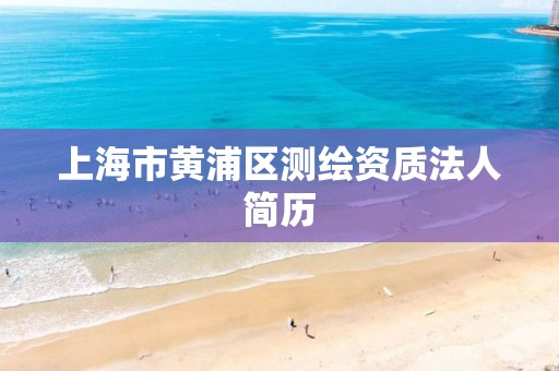 上海市黄浦区测绘资质法人简历