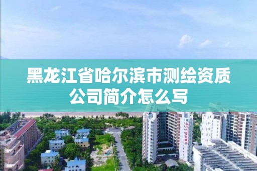 黑龙江省哈尔滨市测绘资质公司简介怎么写