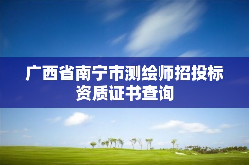 广西省南宁市测绘师招投标资质证书查询