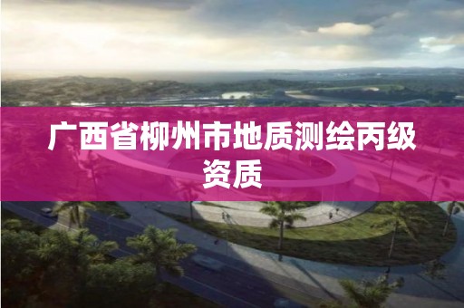 广西省柳州市地质测绘丙级资质