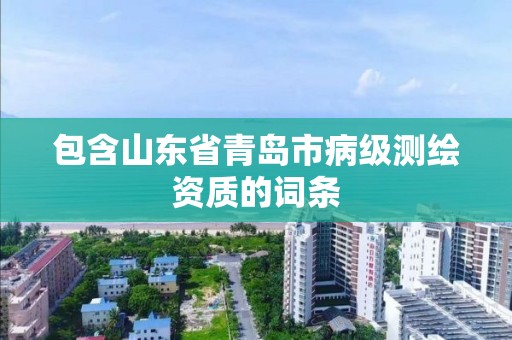 包含山东省青岛市病级测绘资质的词条