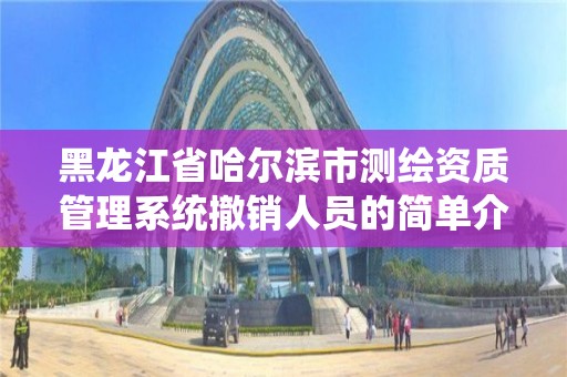 黑龙江省哈尔滨市测绘资质管理系统撤销人员的简单介绍