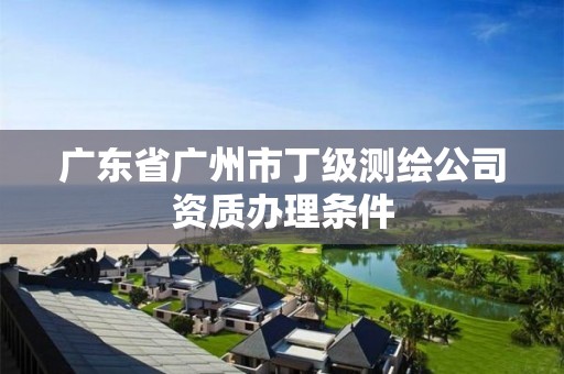 广东省广州市丁级测绘公司资质办理条件