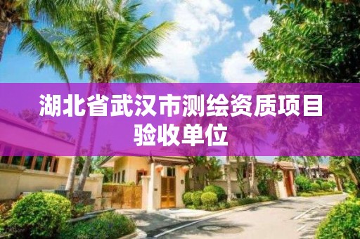 湖北省武汉市测绘资质项目验收单位