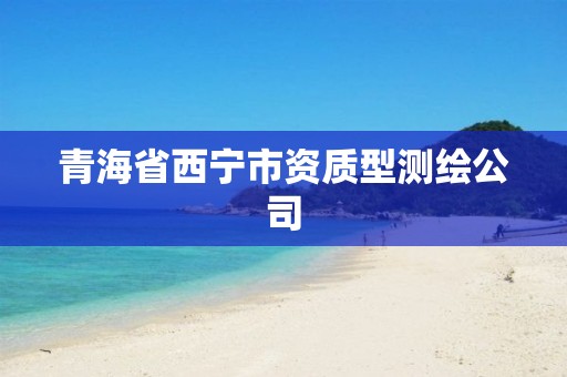 青海省西宁市资质型测绘公司