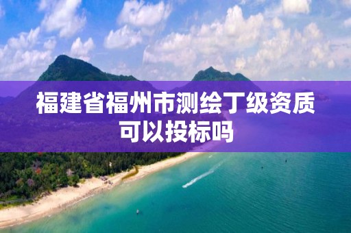 福建省福州市测绘丁级资质可以投标吗