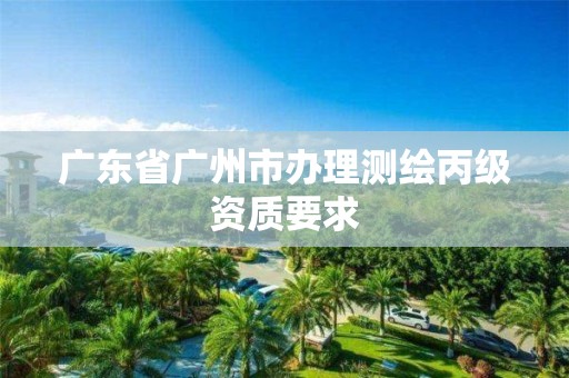 广东省广州市办理测绘丙级资质要求