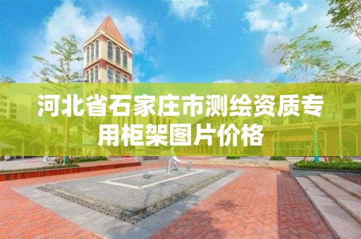 河北省石家庄市测绘资质专用柜架图片价格