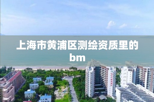 上海市黄浦区测绘资质里的bm