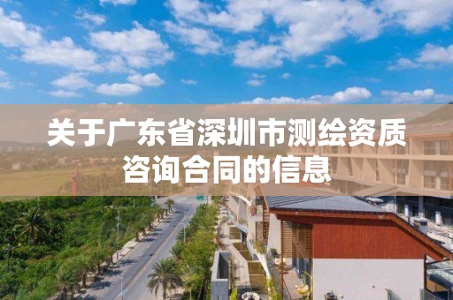 关于广东省深圳市测绘资质咨询合同的信息