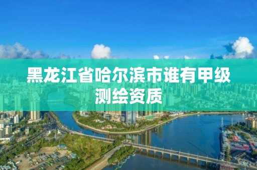 黑龙江省哈尔滨市谁有甲级测绘资质