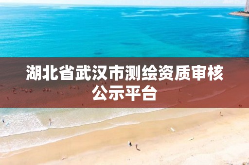 湖北省武汉市测绘资质审核公示平台