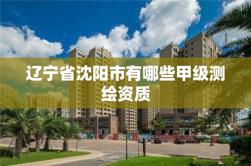 辽宁省沈阳市有哪些甲级测绘资质