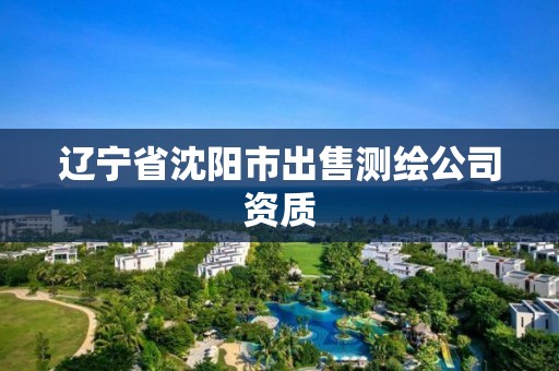 辽宁省沈阳市出售测绘公司资质