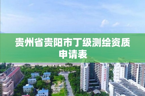 贵州省贵阳市丁级测绘资质申请表