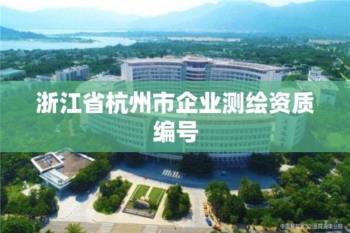 浙江省杭州市企业测绘资质编号