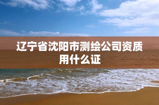 辽宁省沈阳市测绘公司资质用什么证