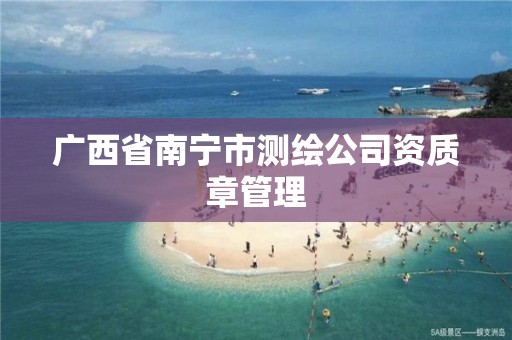 广西省南宁市测绘公司资质章管理