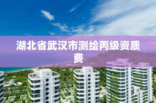 湖北省武汉市测绘丙级资质费