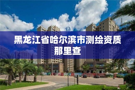 黑龙江省哈尔滨市测绘资质那里查