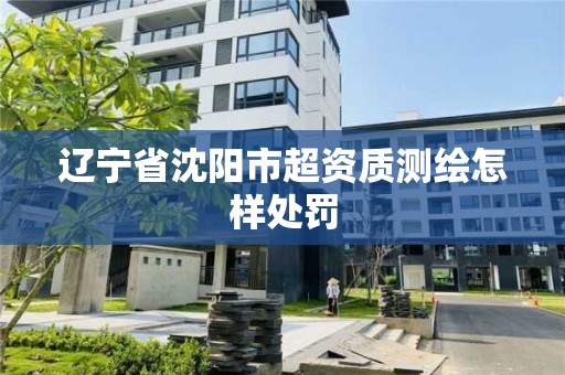 辽宁省沈阳市超资质测绘怎样处罚