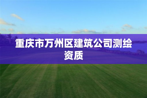 重庆市万州区建筑公司测绘资质