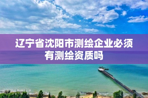 辽宁省沈阳市测绘企业必须有测绘资质吗