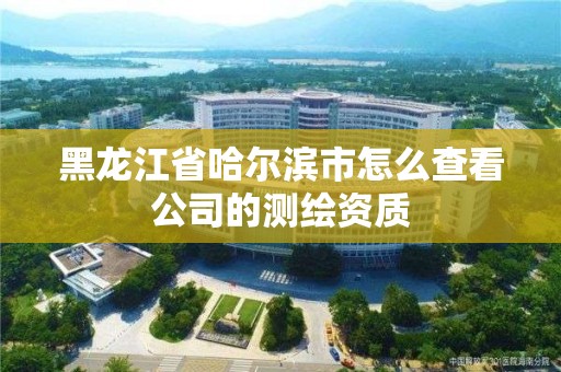 黑龙江省哈尔滨市怎么查看公司的测绘资质