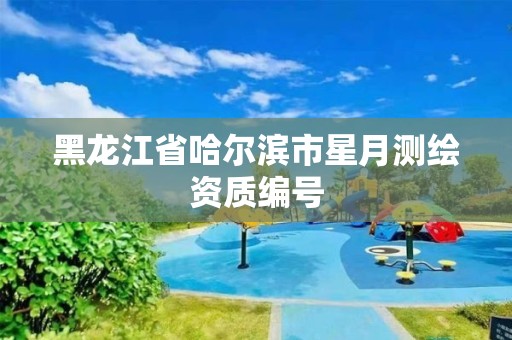 黑龙江省哈尔滨市星月测绘资质编号