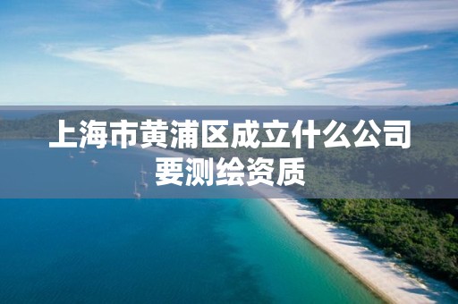 上海市黄浦区成立什么公司要测绘资质