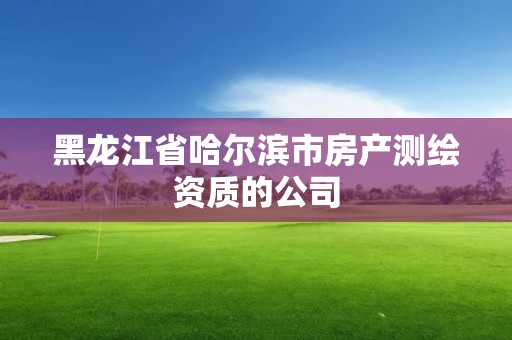 黑龙江省哈尔滨市房产测绘资质的公司