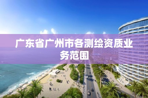 广东省广州市各测绘资质业务范围